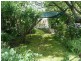 3934 Meander Valley Road, Exton TAS 7303