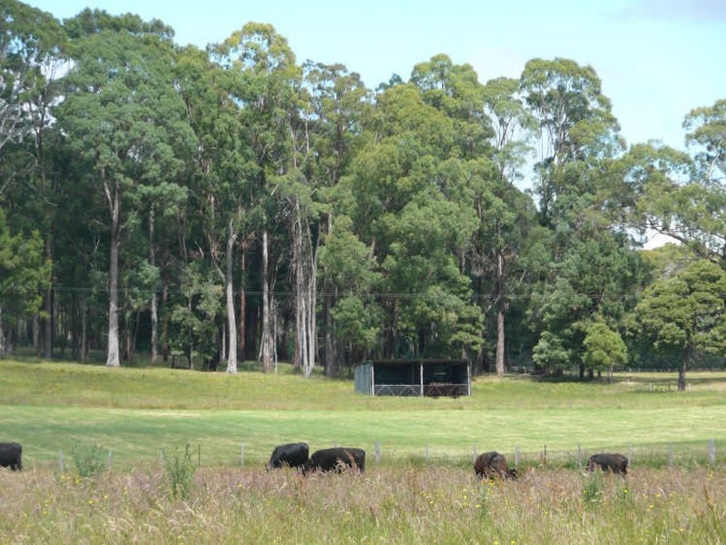 40 Dunhams Road, Deloraine TAS 7304