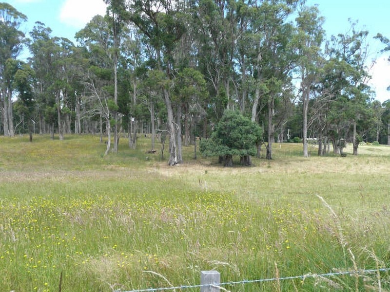 40 Dunhams Road, Deloraine TAS 7304