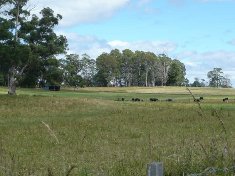 40 Dunhams Road, Deloraine TAS 7304