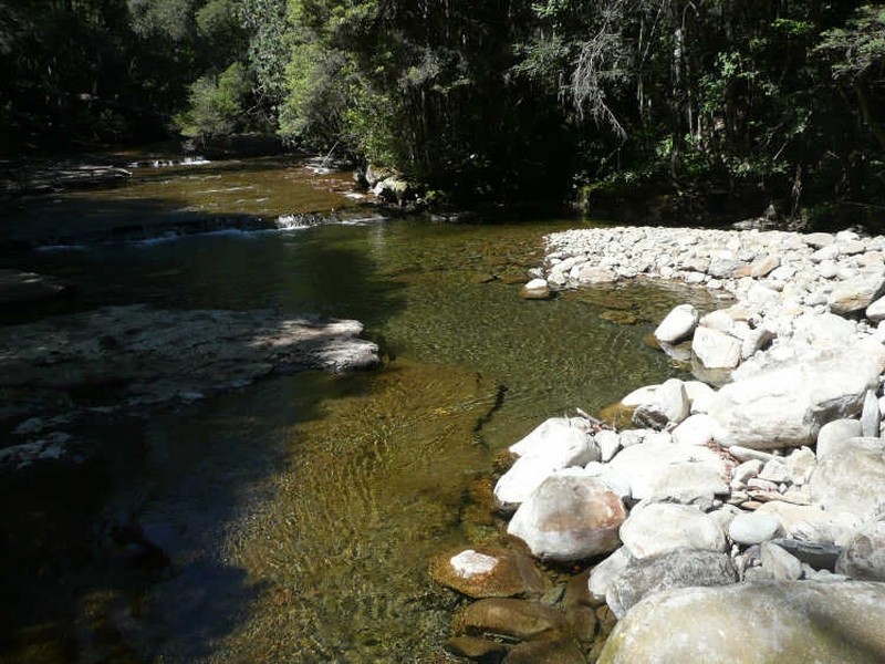 125 Cunninghams Road, Western Creek TAS 7304