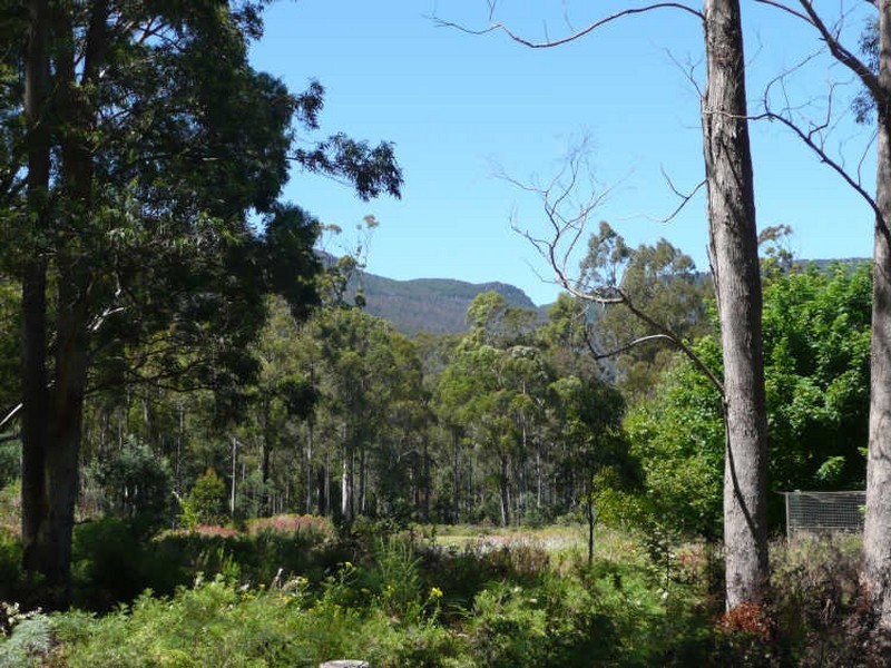 125 Cunninghams Road, Western Creek TAS 7304