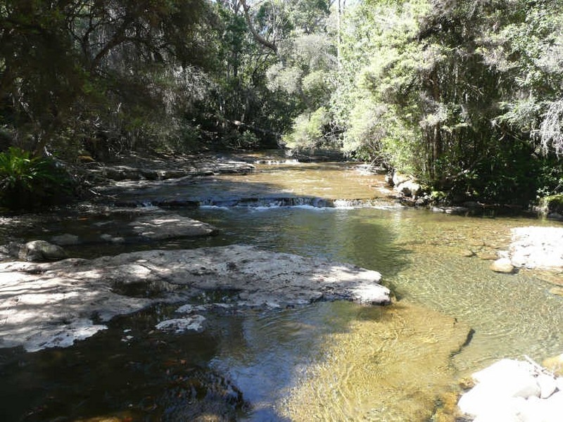 125 Cunninghams Road, Western Creek TAS 7304