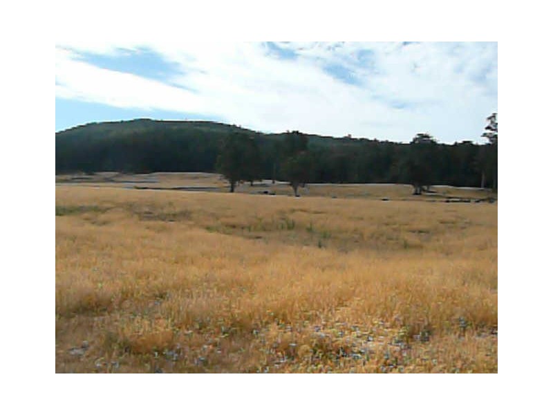 1361 Liena Road, Liena TAS 7304