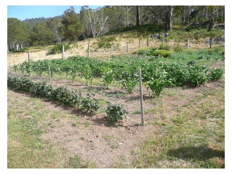 1361 Liena Road, Liena TAS 7304