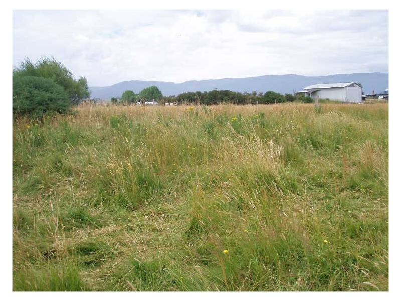 3/ Jones Street, Chudleigh TAS 7304