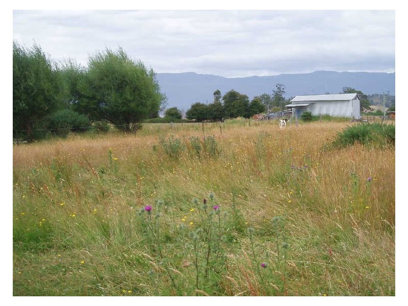 3/ Jones Street, Chudleigh TAS 7304