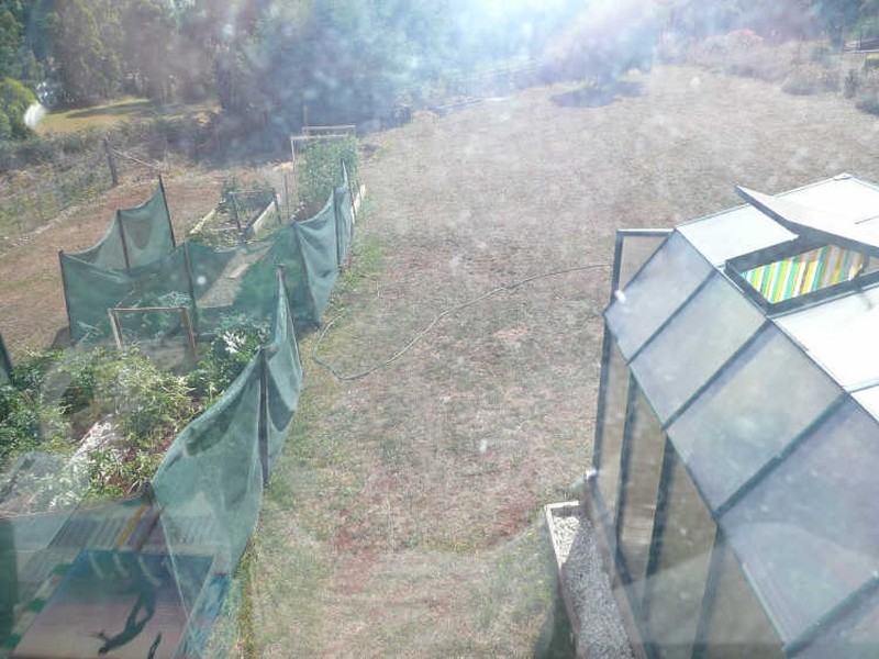 131 West Goderich Street, Deloraine TAS 7304