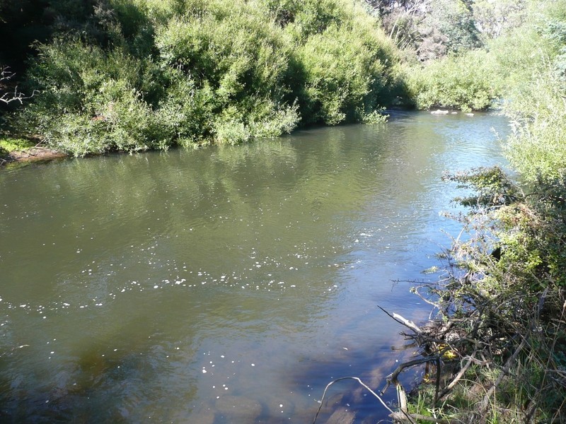290 River Road, Deloraine TAS 7304