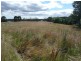 290 River Road, Deloraine TAS 7304
