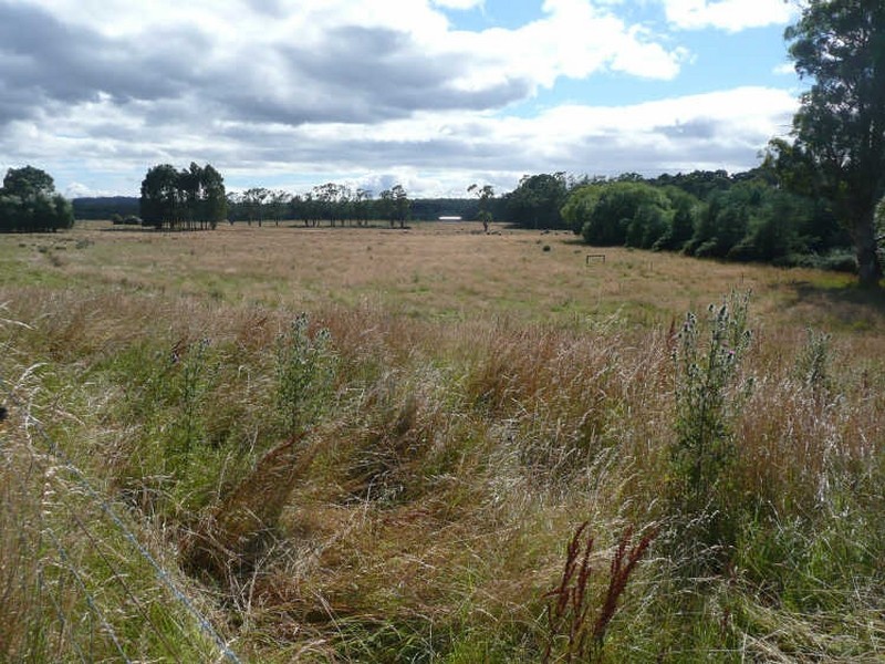 290 River Road, Deloraine TAS 7304