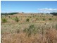 290 River Road, Deloraine TAS 7304