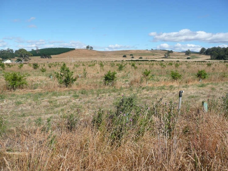290 River Road, Deloraine TAS 7304