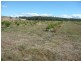 290 River Road, Deloraine TAS 7304