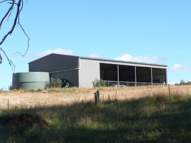 290 River Road, Deloraine TAS 7304