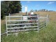 290 River Road, Deloraine TAS 7304