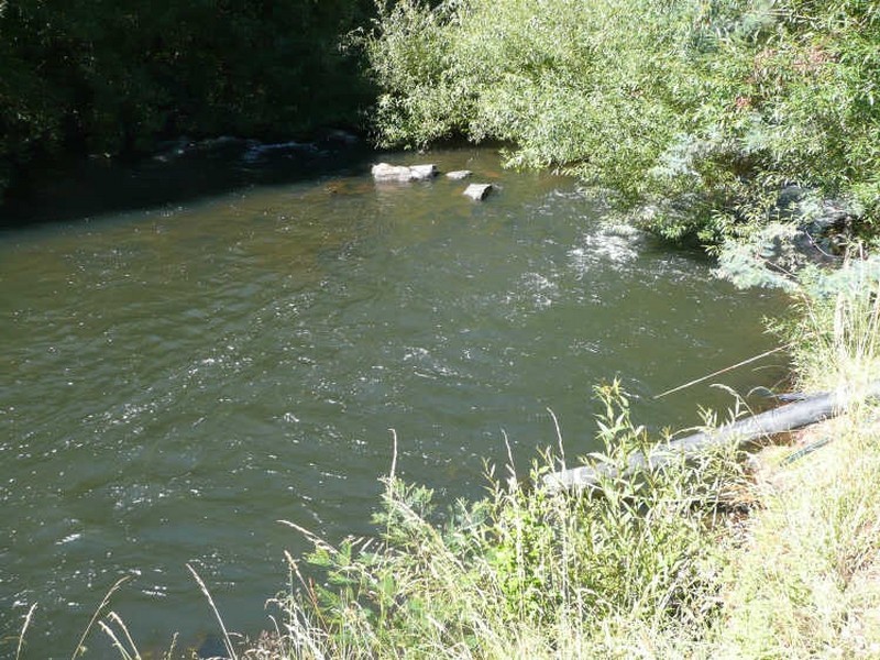 290 River Road, Deloraine TAS 7304