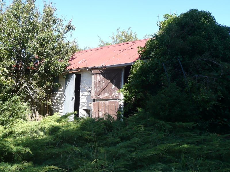 39 William Street, Westbury TAS 7303