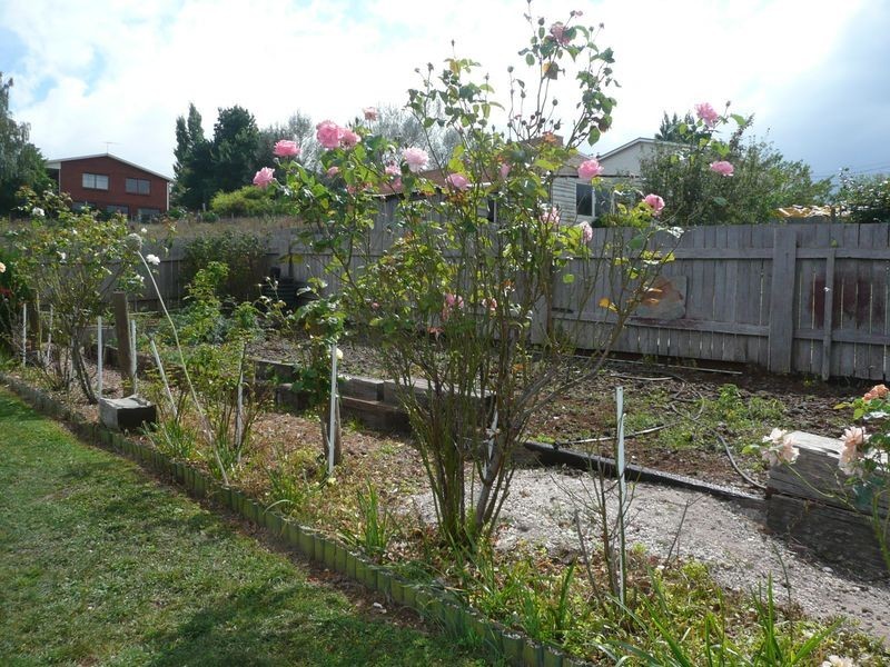 39 Tower Hill Street, Deloraine TAS 7304