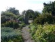 115 Fernleigh Road, Caveside TAS 7304