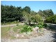 115 Fernleigh Road, Caveside TAS 7304