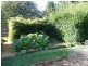 115 Fernleigh Road, Caveside TAS 7304