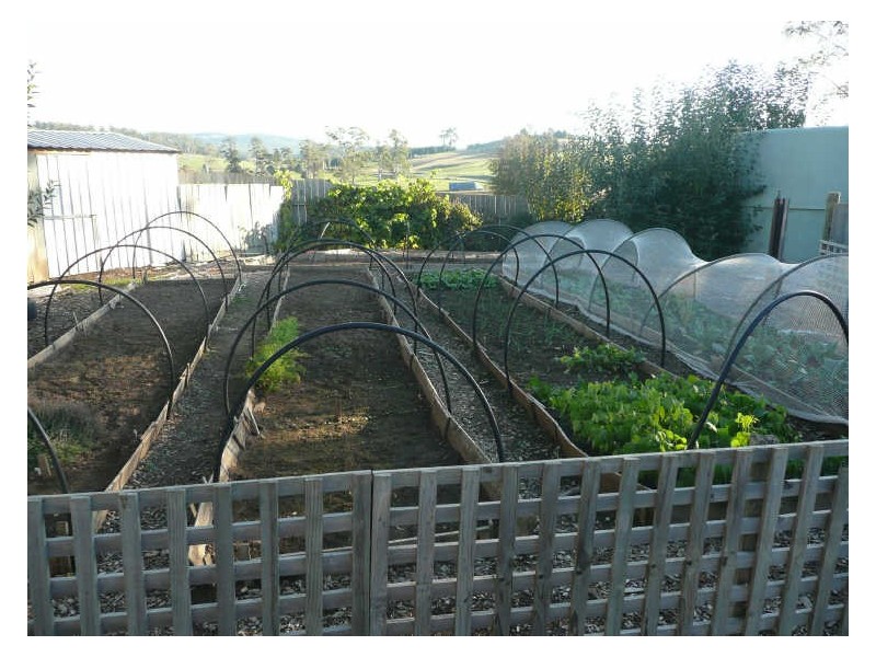 329 Mole Creek Road, Deloraine TAS 7304