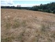 290 River Road, Deloraine TAS 7304