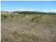 290 River Road, Deloraine TAS 7304