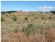 290 River Road, Deloraine TAS 7304