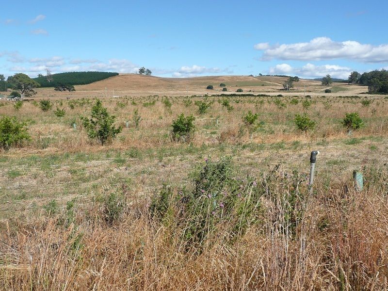 290 River Road, Deloraine TAS 7304