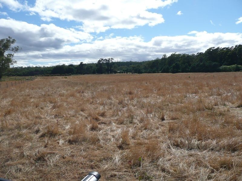 290 River Road, Deloraine TAS 7304