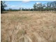 290 River Road, Deloraine TAS 7304