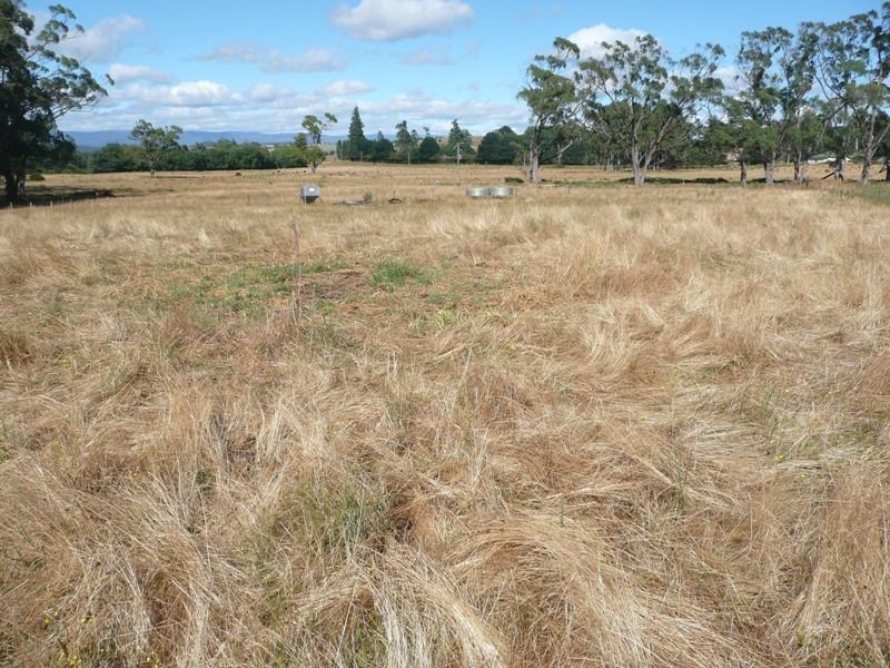 290 River Road, Deloraine TAS 7304