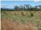 290 River Road, Deloraine TAS 7304