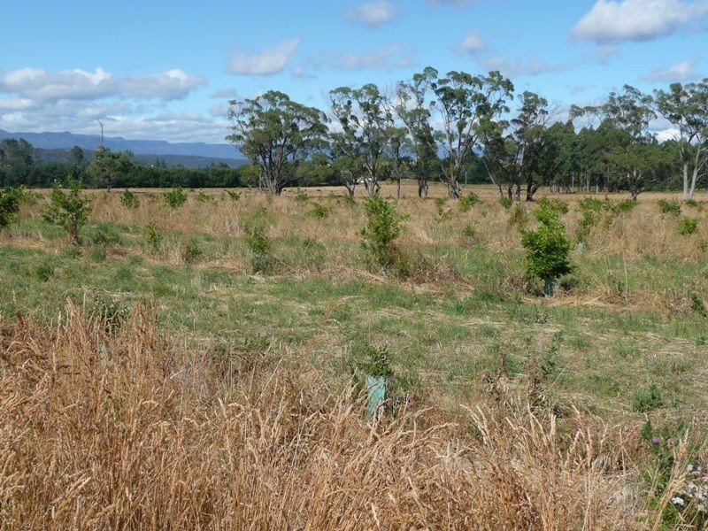 290 River Road, Deloraine TAS 7304
