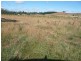 290 River Road, Deloraine TAS 7304