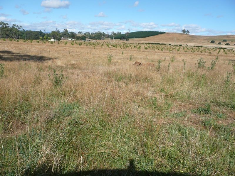 290 River Road, Deloraine TAS 7304