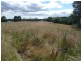 290 River Road, Deloraine TAS 7304