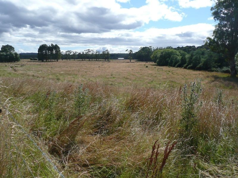 290 River Road, Deloraine TAS 7304