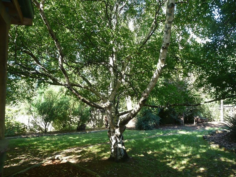 79 Sorrell Street, Chudleigh TAS 7304