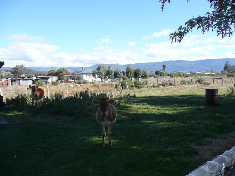 79 Sorrell Street, Chudleigh TAS 7304