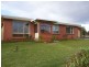 29 Moriarty Street, Deloraine TAS 7304