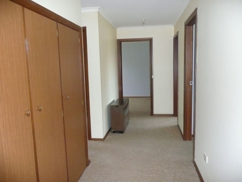 29 Moriarty Street, Deloraine TAS 7304