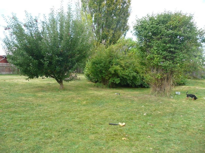 43 Taylor Street, Westbury TAS 7303