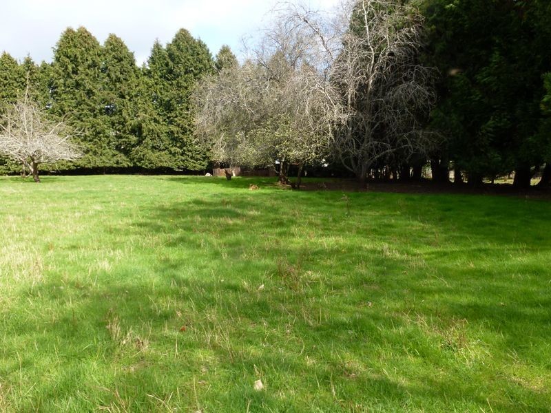 Lot 2 East Church Street, Deloraine TAS 7304