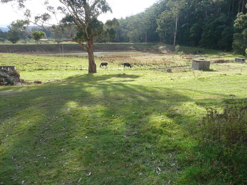 13569 Highland Lakes Road, Golden Valley TAS 7304