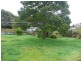13 Lindsay Street, Tullah TAS 7321