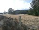 1363 Bogan Road, Deloraine TAS 7304