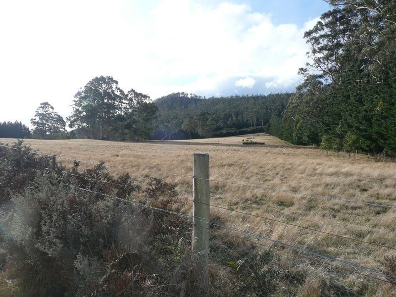1363 Bogan Road, Deloraine TAS 7304